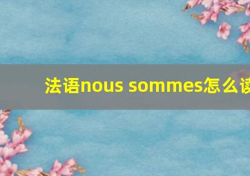 法语nous sommes怎么读